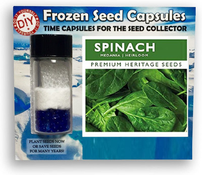 CYBEXIS Spinach Heritage2000 Seeds Seed(2000 per packet)