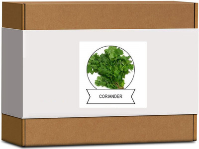 CYBEXIS Organic Coriander Seeds2800 Seeds Seed(2800 per packet)