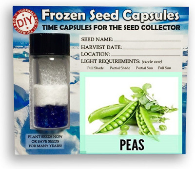 CYBEXIS Sweet Peas400 Seeds Seed(400 per packet)