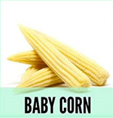 CYBEXIS Organic Baby Corn Seeds2000 Seeds Seed(2000 per packet)
