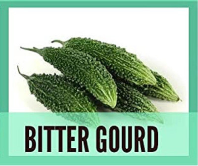 CYBEXIS Fast Germination Bitter gourd Seeds-100 Seeds Seed(100 per packet)