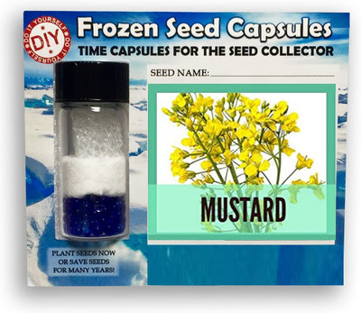 CYBEXIS Mustard2000 Seeds Seed(2000 per packet)