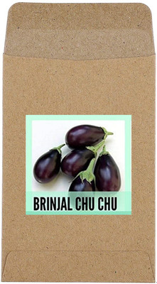 CYBEXIS Hybrid Brinjal Chu Chu Seeds2400 Seeds Seed(2400 per packet)