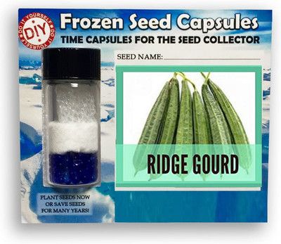 CYBEXIS Sponge Gourd,Loofah400 Seeds Seed(400 per packet)