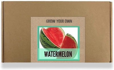 CYBEXIS Fast Germination Watermelon Seeds400 Seeds Seed(400 per packet)