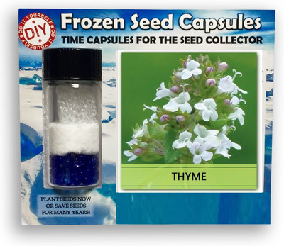 CYBEXIS Thyme-100 Seeds Seed(100 per packet)