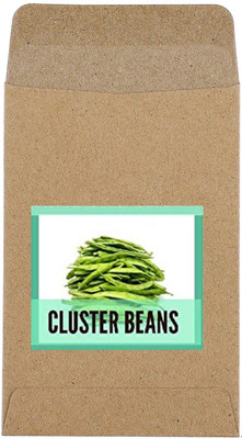 CYBEXIS Hybrid Cluster Beans Seeds800 Seeds Seed(800 per packet)