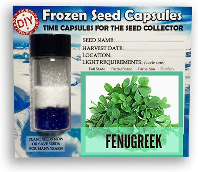 CYBEXIS Methi,Fenugreek2800 Seeds Seed(2800 per packet)