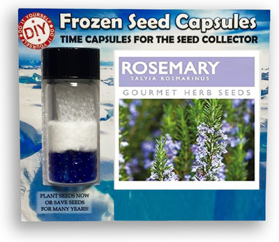 CYBEXIS Rosemary800 Seeds Seed(800 per packet)
