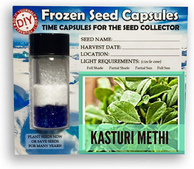 CYBEXIS Kasuri Methi,Fenugreek-350 Seeds Seed(350 per packet)