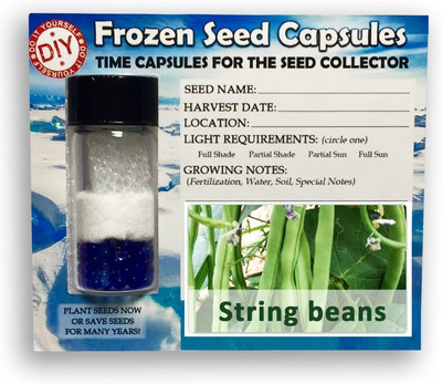 CYBEXIS String Beans400 Seeds Seed(400 per packet)