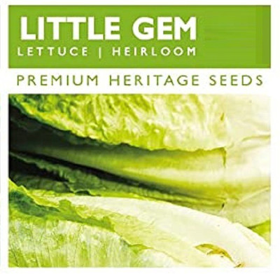CYBEXIS Organic Little Gem Lettuce Seeds2000 Seeds Seed(2000 per packet)