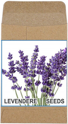 Qualtivate ® Heirloom Lavander Seeds(100 Seeds) Seed(100 per packet)