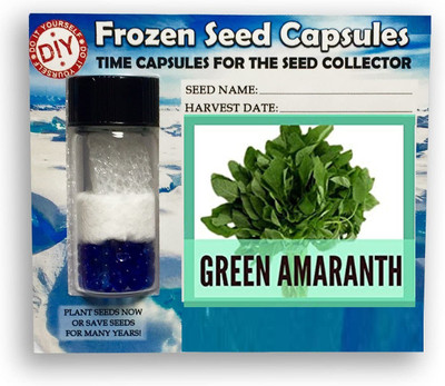 CYBEXIS Green Amaranthus-350 Seeds Seed(350 per packet)