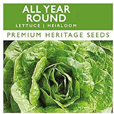 CYBEXIS Organic All Year Round Lettuce Seeds Seeds2000 Seeds Seed(2000 per packet)