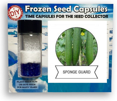 CYBEXIS Sponge Gourd,Tori800 Seeds Seed(800 per packet)