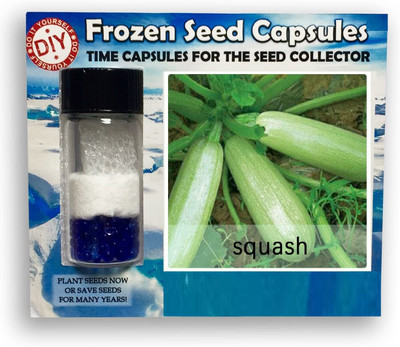 CYBEXIS Zucchini/Squash400 Seeds Seed(400 per packet)