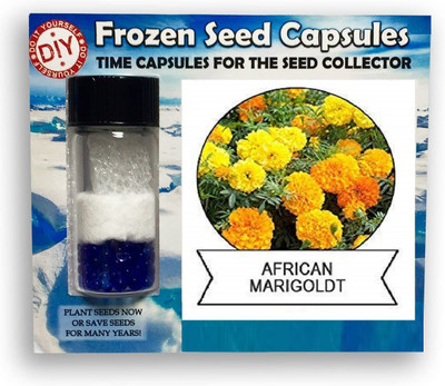 CYBEXIS Marigold Yellow200 Seeds Seed(200 per packet)