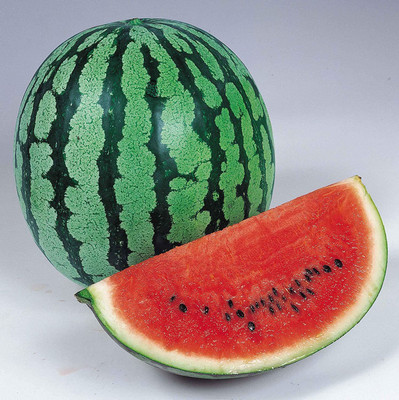 Decon Watermelon Seed(50 per packet)