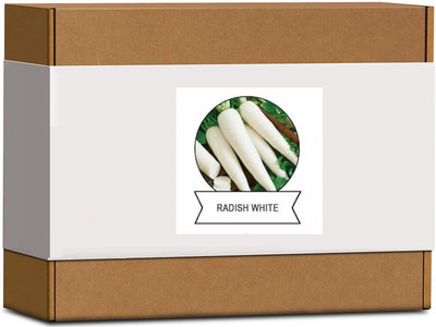 CYBEXIS Organic Radish White Seeds2400 Seeds Seed(2400 per packet)