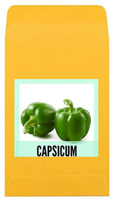 CYBEXIS Guarenteed Germination Green Capsicum Seeds2400 Seeds Seed(2400 per packet)