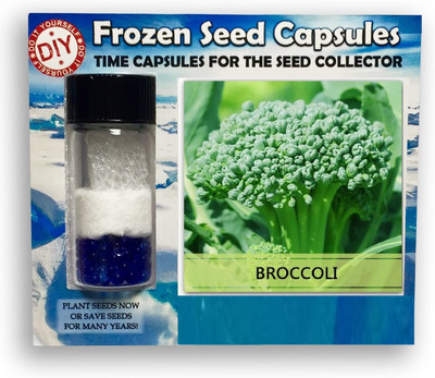 CYBEXIS Green Broccoli-250 Seeds Seed(250 per packet)