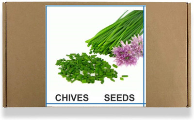 CYBEXIS Heirloom Chives Seeds700 Seeds Seed(700 per packet)
