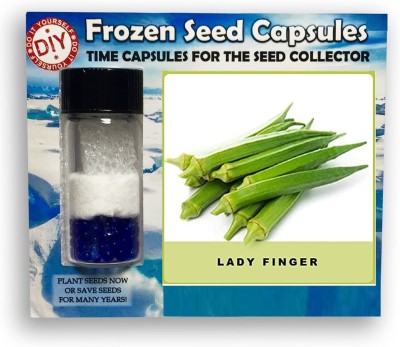 CYBEXIS Okra,Lady Finger,Bhindi-200 Seeds Seed(200 per packet)