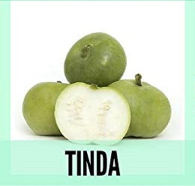 CYBEXIS Organic Tinda,Round Gourd Seeds-100 Seeds Seed(100 per packet)