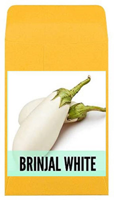 CYBEXIS Guarenteed Germination Brinjal White Seeds1200 Seeds Seed(1200 per packet)