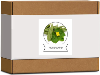Qualtivate Ridge Gourd Seed(150 per packet)