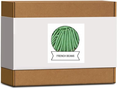 CYBEXIS Organic French Beans Seeds400 Seeds Seed(400 per packet)