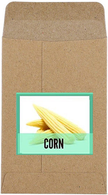 CYBEXIS Hybrid Corn Seeds-250 Seeds Seed(250 per packet)