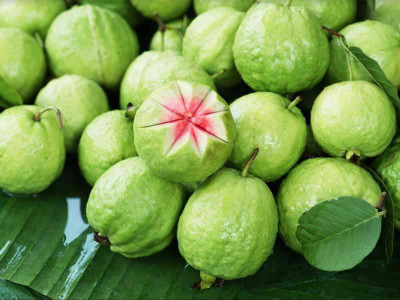 Paudha Guava Hybrid Seed(61 per packet)