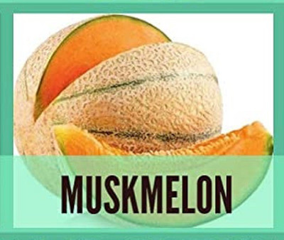 CYBEXIS Organic Muskmelon Seeds400 Seeds Seed(400 per packet)