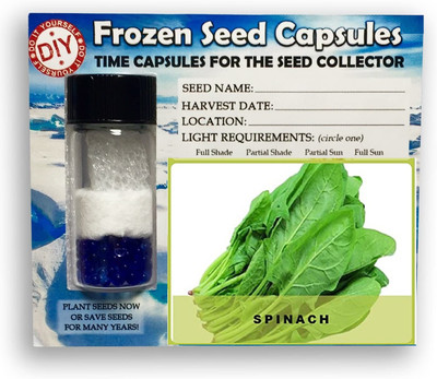 CYBEXIS Malabar Spinach2000 Seeds Seed(2000 per packet)