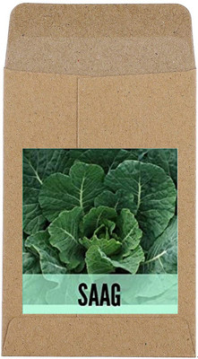 CYBEXIS Hybrid Saag Seeds2800 Seeds Seed(2800 per packet)