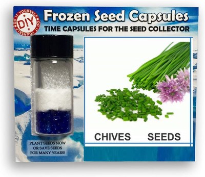 CYBEXIS Chives-350 Seeds Seed(350 per packet)