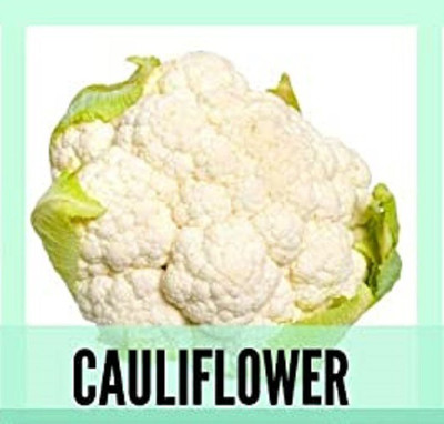 CYBEXIS Organic White Cauliflower Seeds500 Seeds Seed(500 per packet)