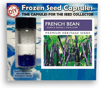 CYBEXIS Purple French Beans-100 Seeds Seed(100 per packet)