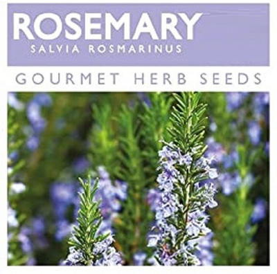CYBEXIS Organic Rosemary Seeds400 Seeds Seed(400 per packet)