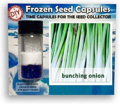 CYBEXIS Bunching Spring Onions2000 Seeds Seed(2000 per packet)