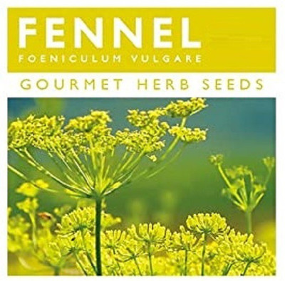 CYBEXIS Organic Fennel Seeds700 Seeds Seed(700 per packet)