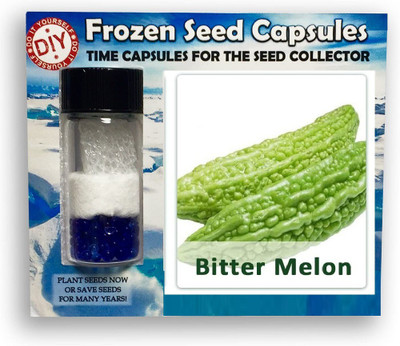 CYBEXIS Bittergourd Seed(200 per packet)