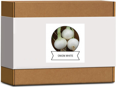 CYBEXIS Organic Onion White Seeds2000 Seeds Seed(2000 per packet)