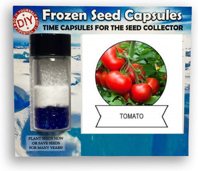 CYBEXIS Desi Tomato2000 Seeds Seed(2000 per packet)