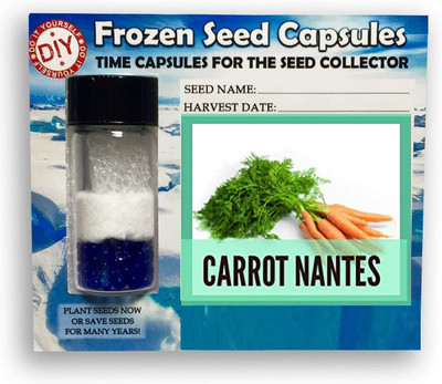 CYBEXIS Orange Carrot2000 Seeds Seed(2000 per packet)