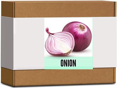 CYBEXIS Organic Red Onion Seeds1000 Seeds Seed(1000 per packet)