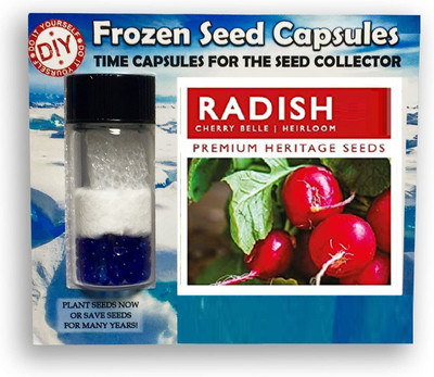 CYBEXIS Radish Cherry Belle2400 Seeds Seed(2400 per packet)