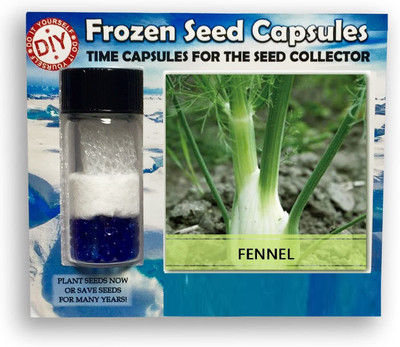 CYBEXIS Fennel1400 Seeds Seed(1400 per packet)